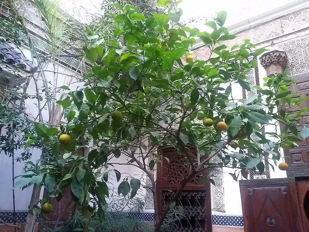 Riad Jenai Demeures Du Maroc 马拉喀什 摩洛哥