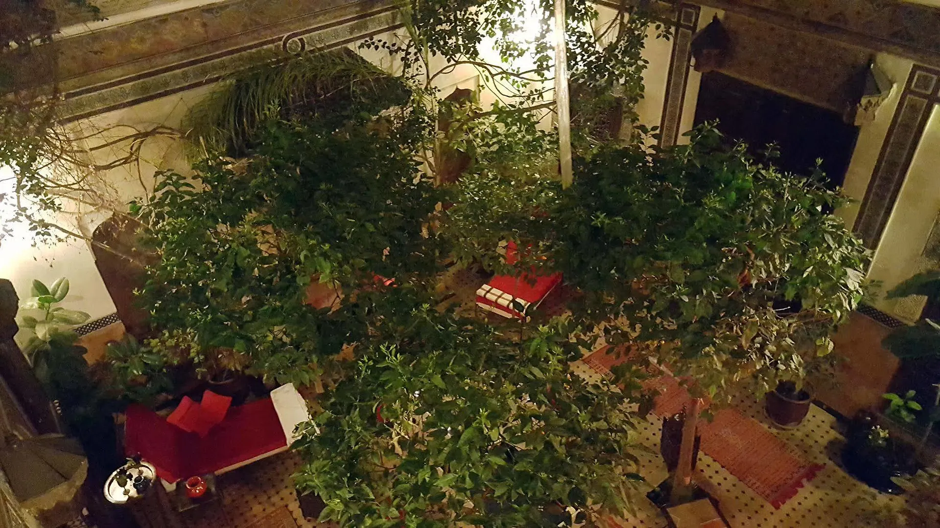 *** 酒店 Riad Jenai Demeures Du Maroc 马拉喀什 摩洛哥